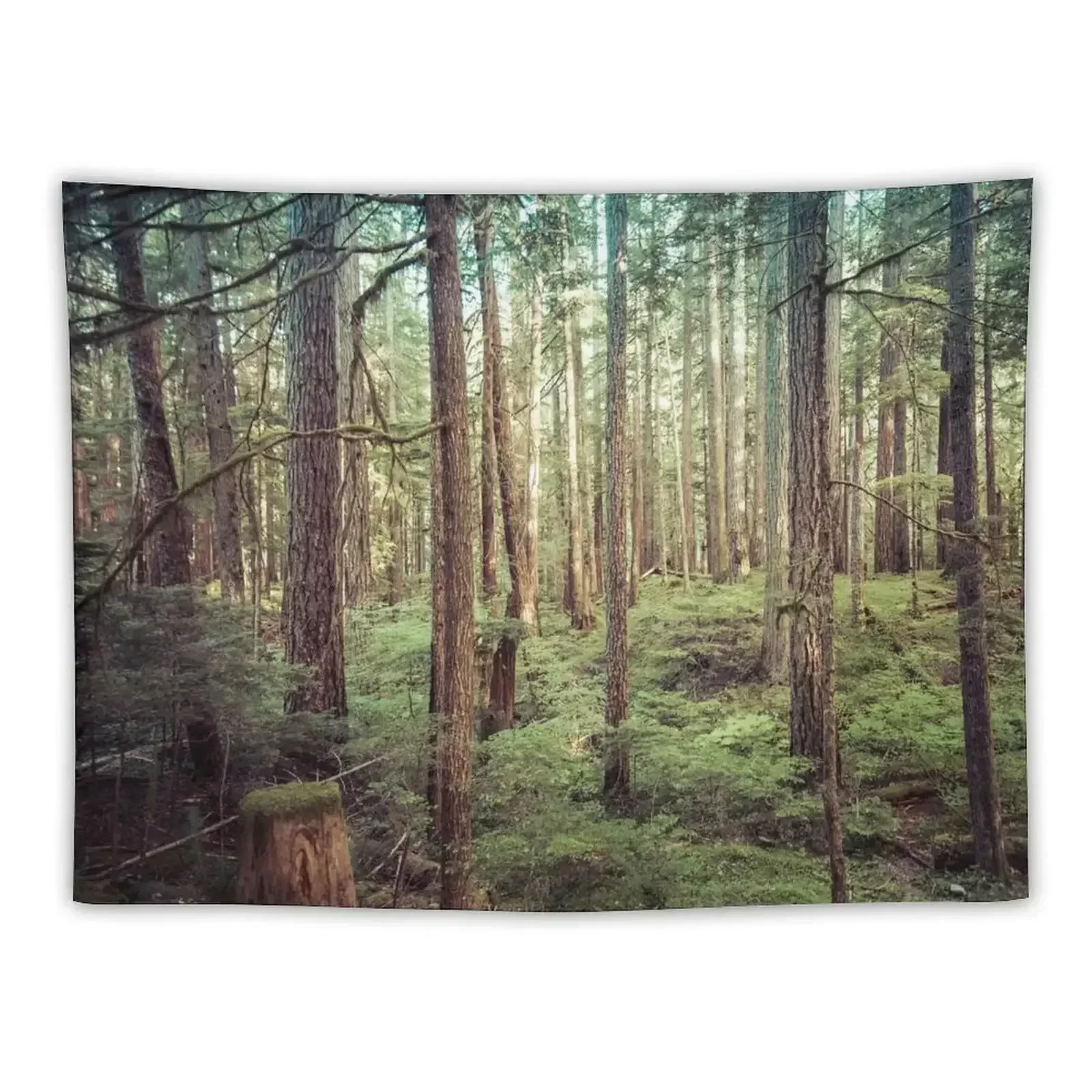 

Forest Trees - Tree Woods Green Nature Outdoor Adventure Tapestry Aesthetic Home Decor Carpet Wall Tapestry