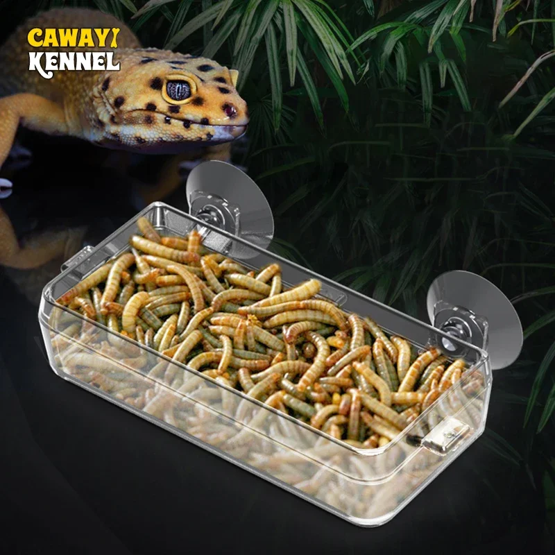 

Cawayi Kennel Pet Reptile Transparent Feeder Anti-escape Food Bowl Worm Live Container With Strong Suction Cups Pet Supplies Pet