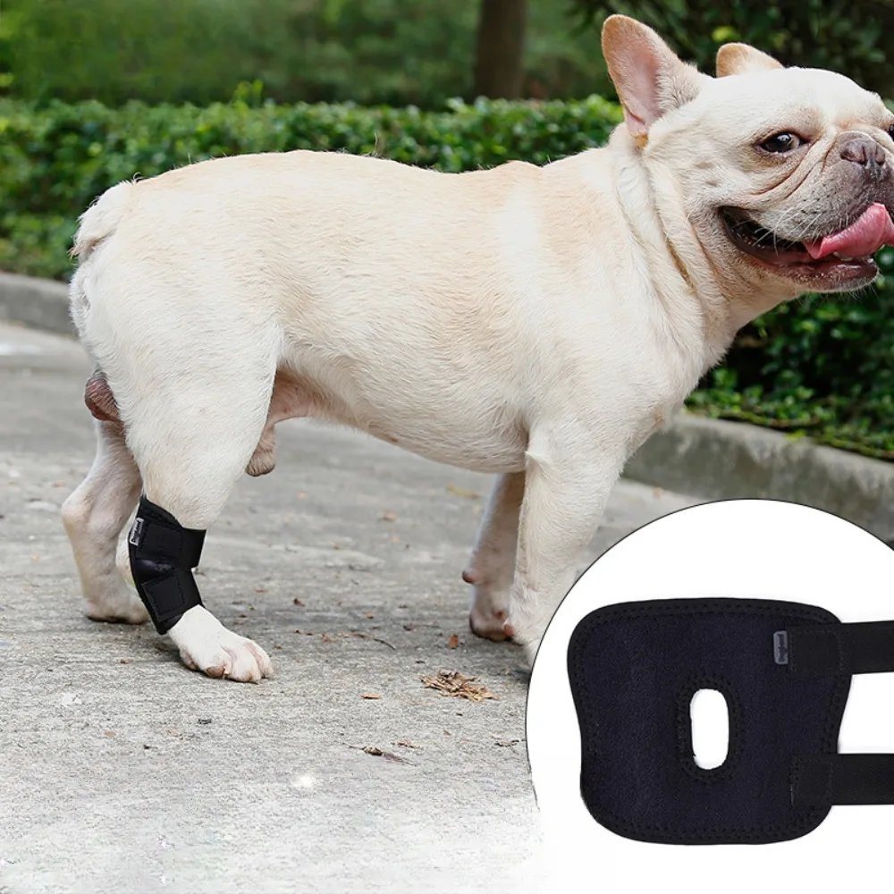 Pet Knee Pads Dog Support Brace for Leg Hock Joint Wrap Breathable Injury Recovery Dog Arthritis Protector Protects