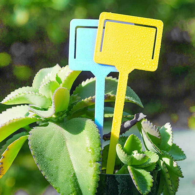Field-Shaped 100Pcs Plastic Gardening Labels Succulent Labels Potted Plant Labels