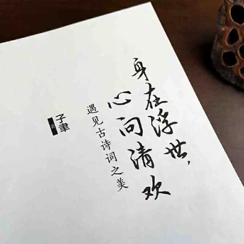 Living in the floating world, my heart is happy: meet the beauty of ancient poetry, and now literary novels and books.libros