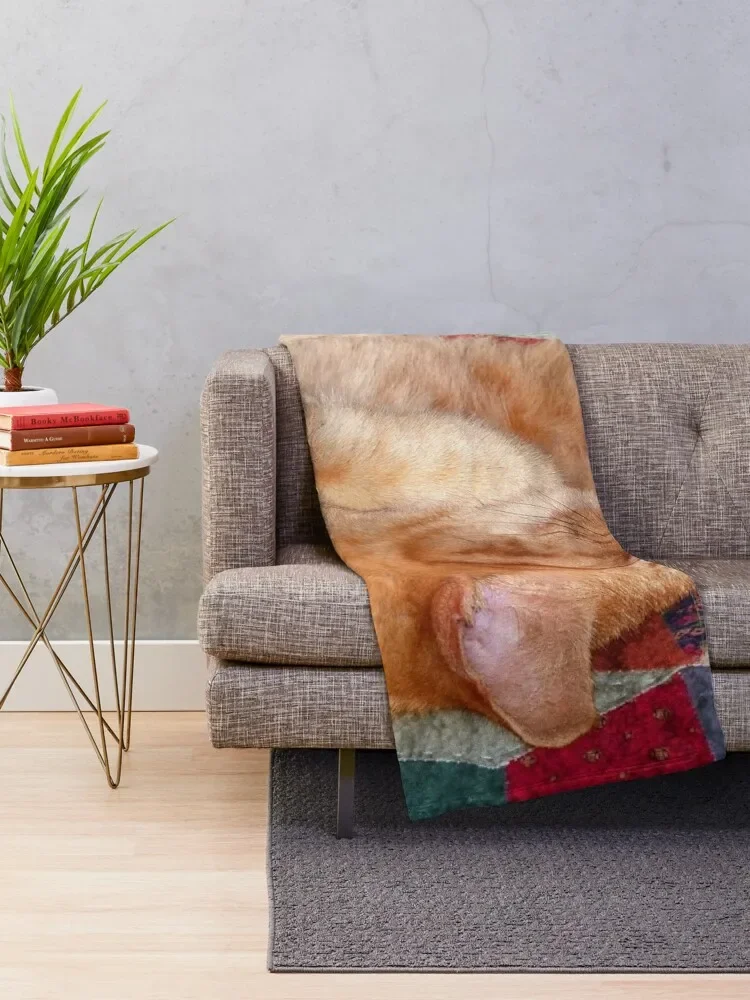 Ginger Cat Napping Throw Blanket Camping Tourist Blankets