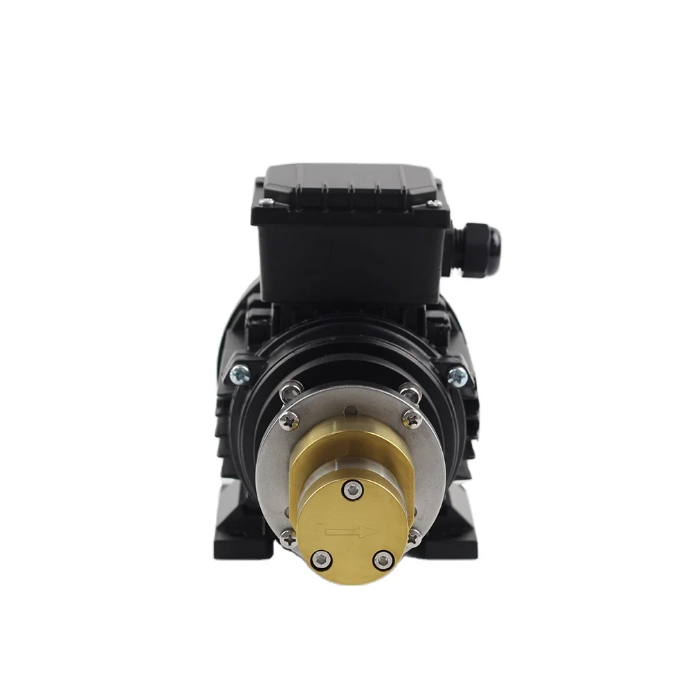 AC 220V 380V 120W system pressure 1~+20 bar Flow rate 5400ml/min magnet drive micro gear pump