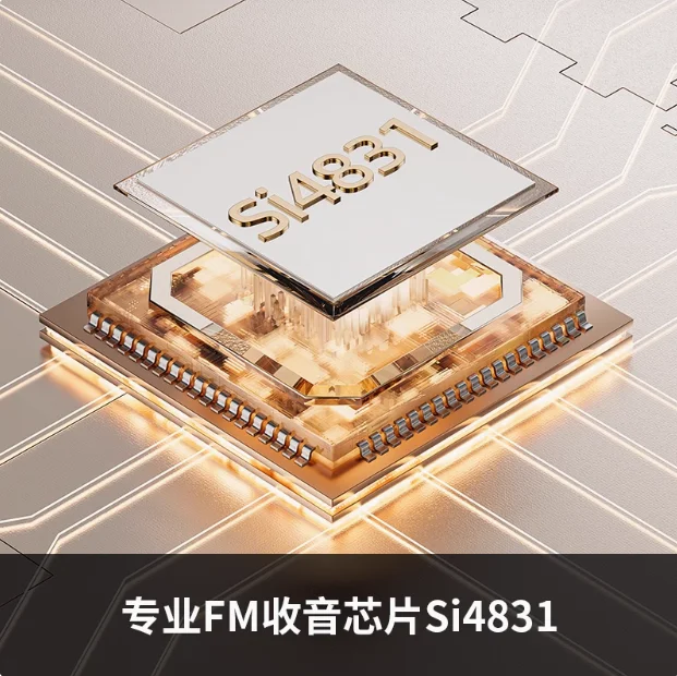 Fiio RR11 راديو ستيريو محمول 13 مللي متر رقيقة جدا سبائك الألومنيوم الجسم Fm/سماعة وضع مزدوج يده باس + ثلاثية الأبعاد تأثير الصوت مخصص