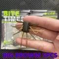 BIG BROWM
