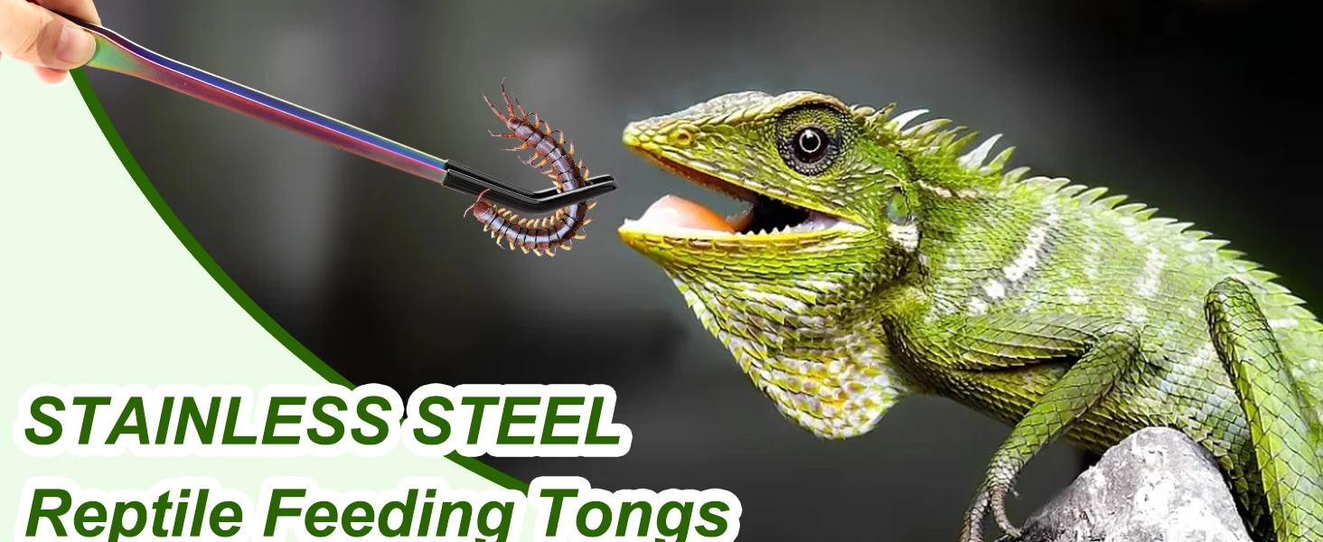 1/2 Stück Edelstahl-Reptilienfutterzange mit Gummispitze – 10,6 Zoll gerade und gebogene Pinzette für Aquarien und Bastelarbeiten – Detail 1