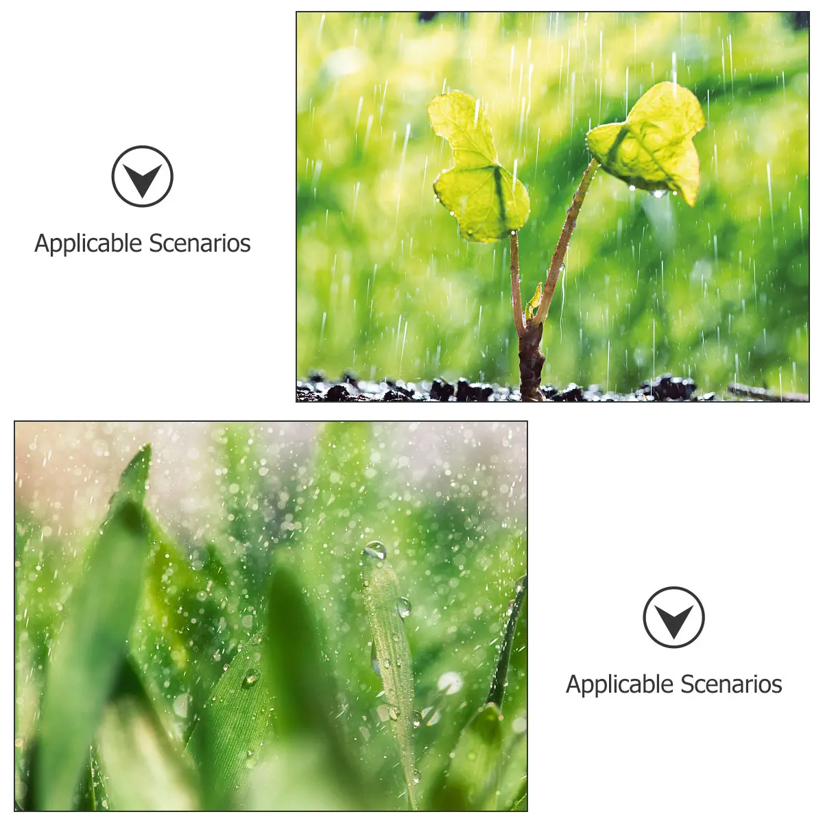 

Plastic Sprayer Fine Mist Watering Spray Plant Plant Spray Bottle Gardening Baking Durable Lightweight Easy Grip