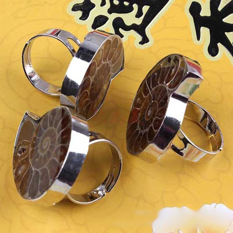 Unique Adjustable Ring Fashion Natural Ammonite Reliquiae-Finger Ring Jewelry Natural Fossil-Shell-Ring Women Girl Teen