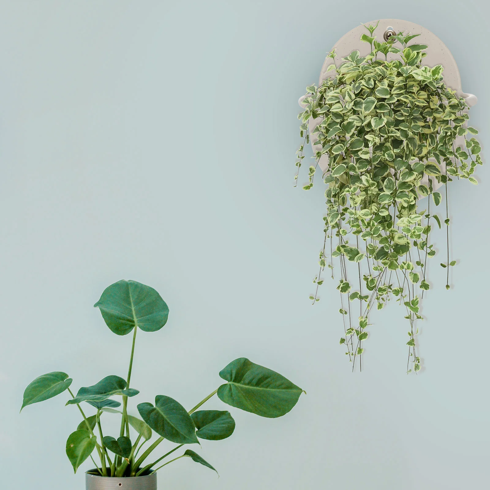 Cerámica de imitación para colgar en la pared, flor, Color mármol, planta de plástico, cesta gruesa, decoración conveniente
