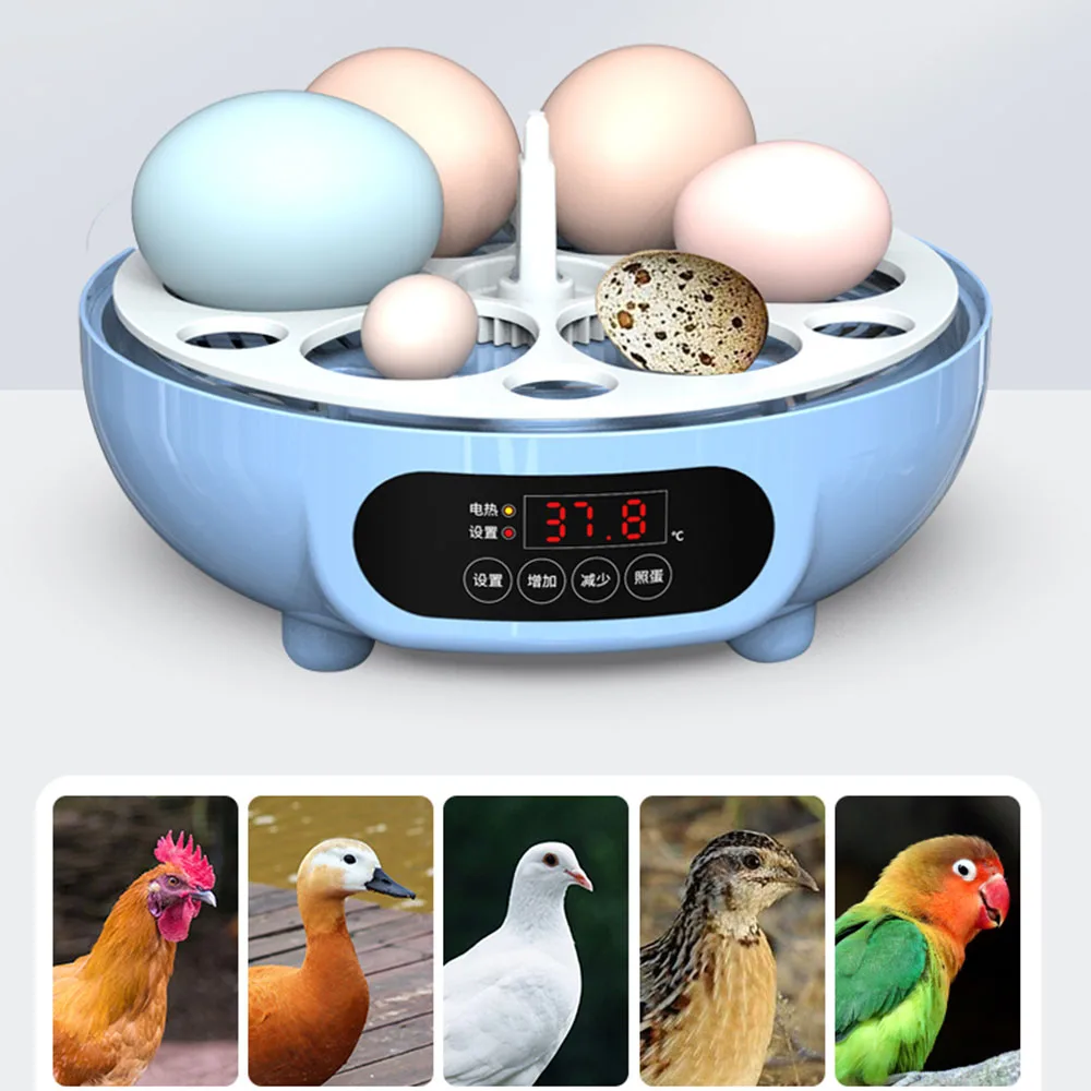 220/110V 6/18 Mini Eggs Incubator Fully Automatic Turning Hatching Brooder Farm Bird Quail Chicken Poultry Farm Hatcher Turner