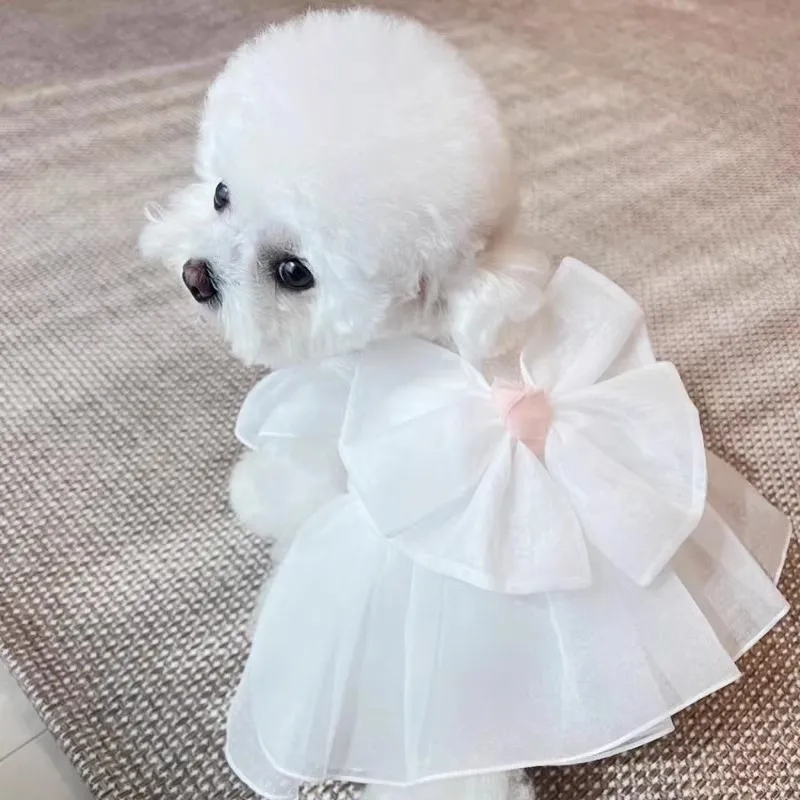 

Dog summer skirt Thin Princess skirt Teddy Bichon Bear puppy small dog cat bow summer dress