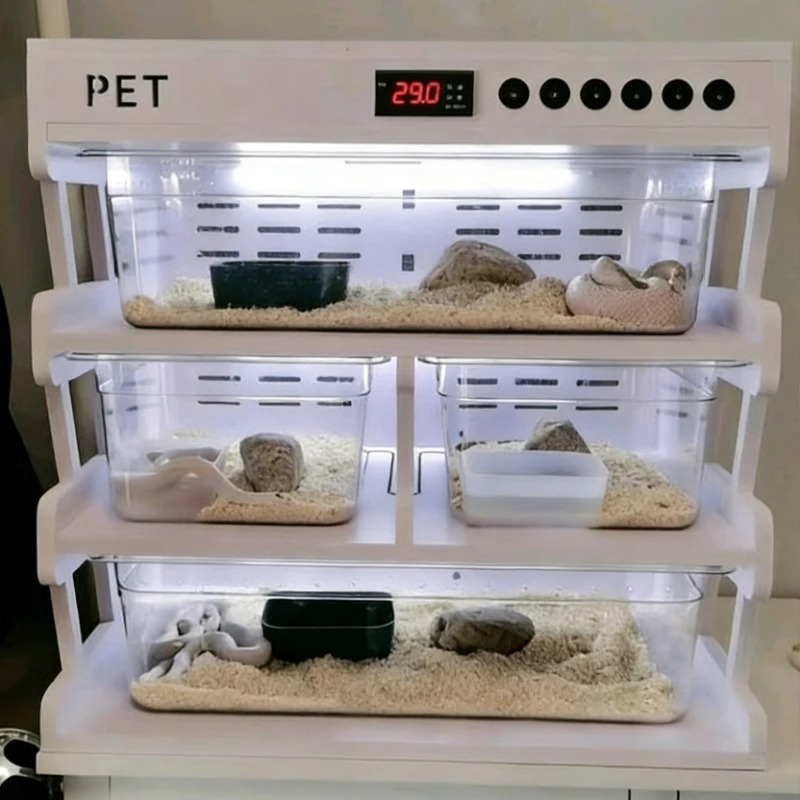 

Reptiles Incubator Heating Gecko Snake Scorpions Spider Terrariums PVC Constant Temperature Breeding Cage Reptile Kennel Habitat