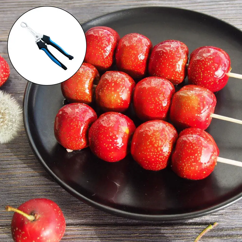Hawthorn Core Remover Kitchen Tool Stainless Steel Fruit Corer Comfortable Handle Fruit Pitter Easy Operation