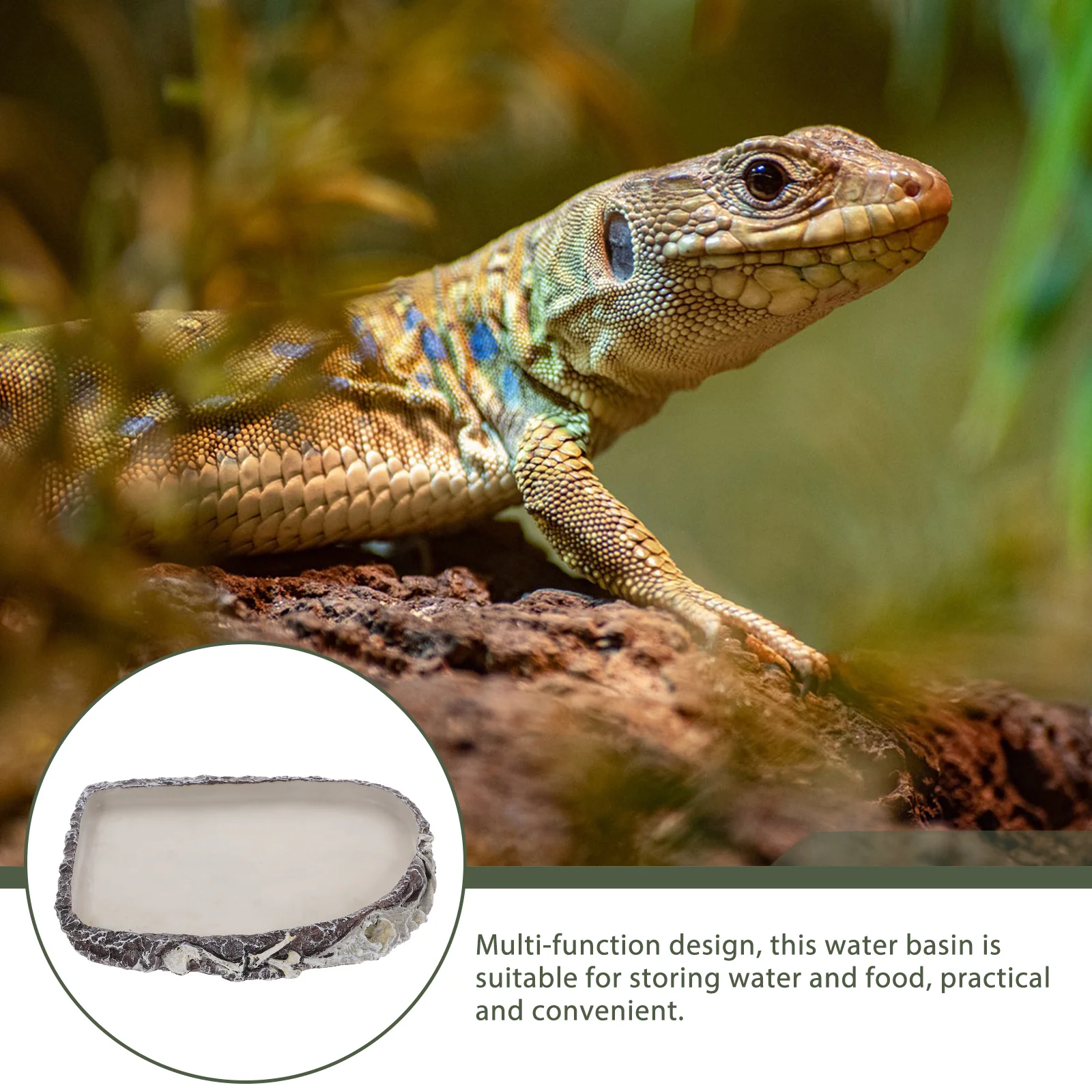 

Reptile Water Dish Resin Made Multi-Function Feeding Bowl for Geckos Snakes Lizards Turtles Chameleons Terrarium Supplies