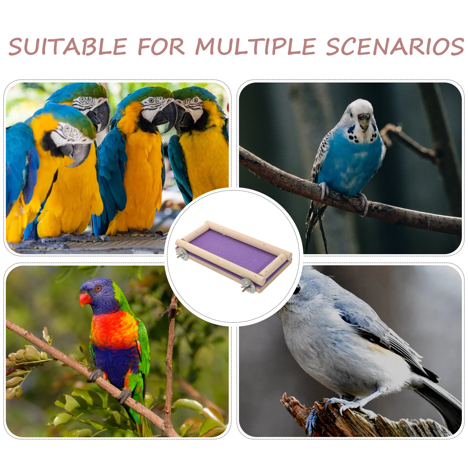 

Wooden Platform for Parrot Cockatiel Bird Perch Training Hamster Exercise Accessories Claw Grinding Purple