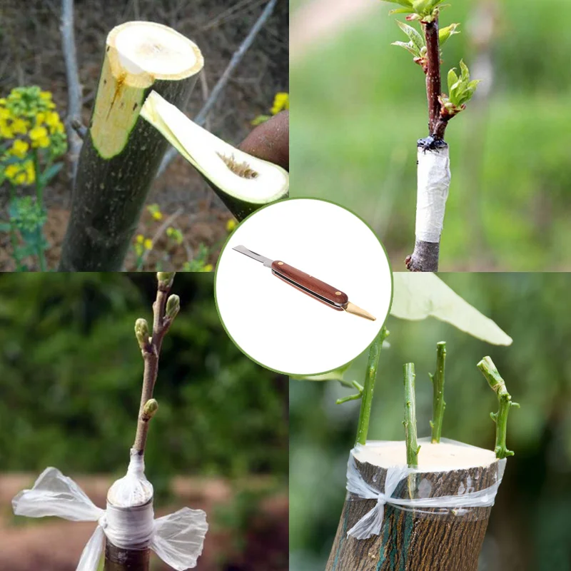 Folding Grafting Knife Grafting Tools Grafting Pruning Knife Professional Garden Fruit Tree Grafting Cutter Wooden Handle Knife