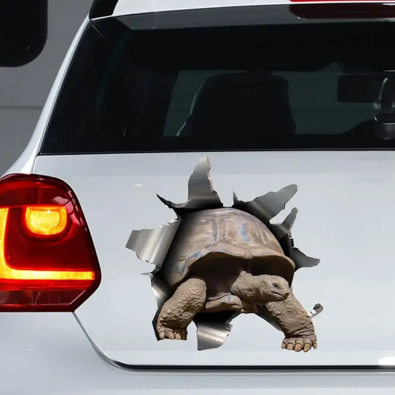 Tortoise car sticker, tortoise decal, tortoise magnet