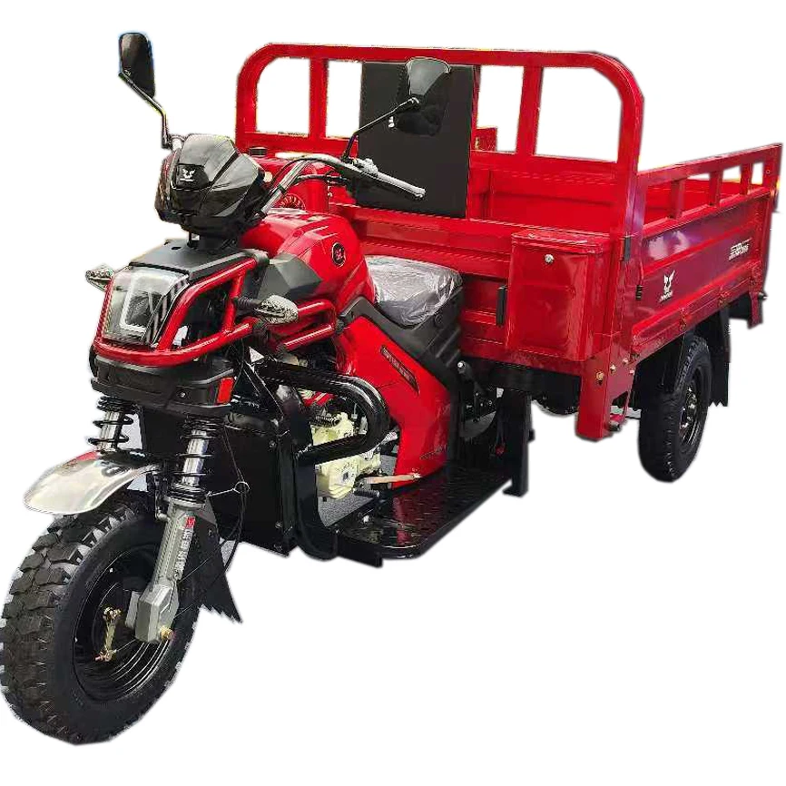 

250cc Tricycle Passenger and Cargo Tricycle 3 Wheel Motorcycle Tricycle for Freight