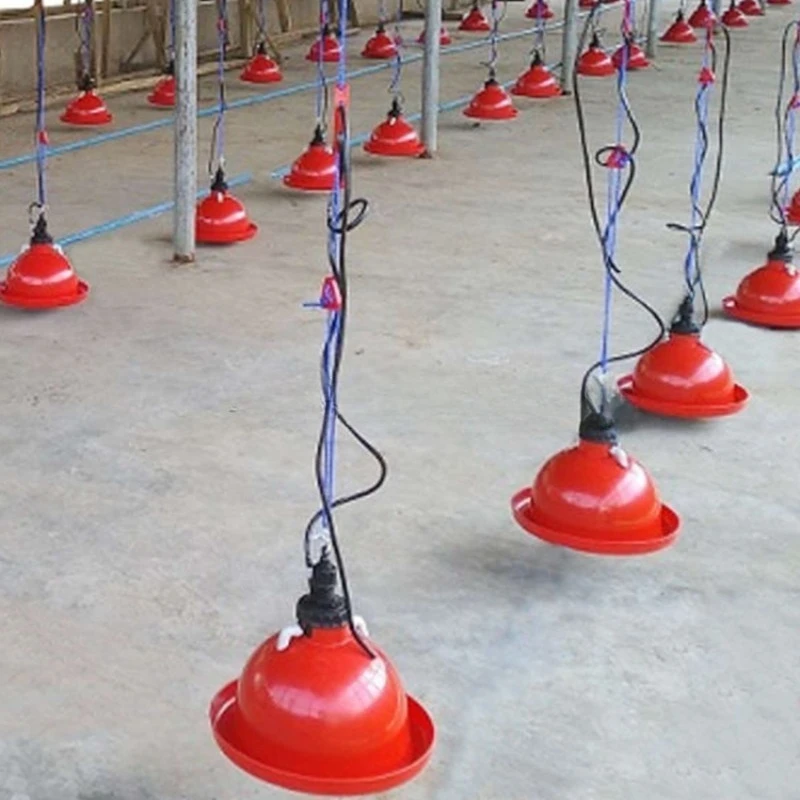 

Кормушка Prassoon Утка и гусь Гигантский колокольчик Диспенсер для воды Автоматический диспенсер для воды для птицы Курица