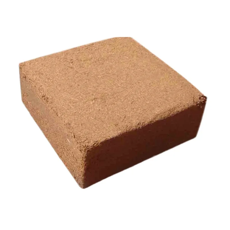 Salvado de ladrillo de coco, suelo mejorado, cultivo orgánico sin suelo, fertilizante de suelo nutritivo, sustrato, planta líquida nutritiva suculenta