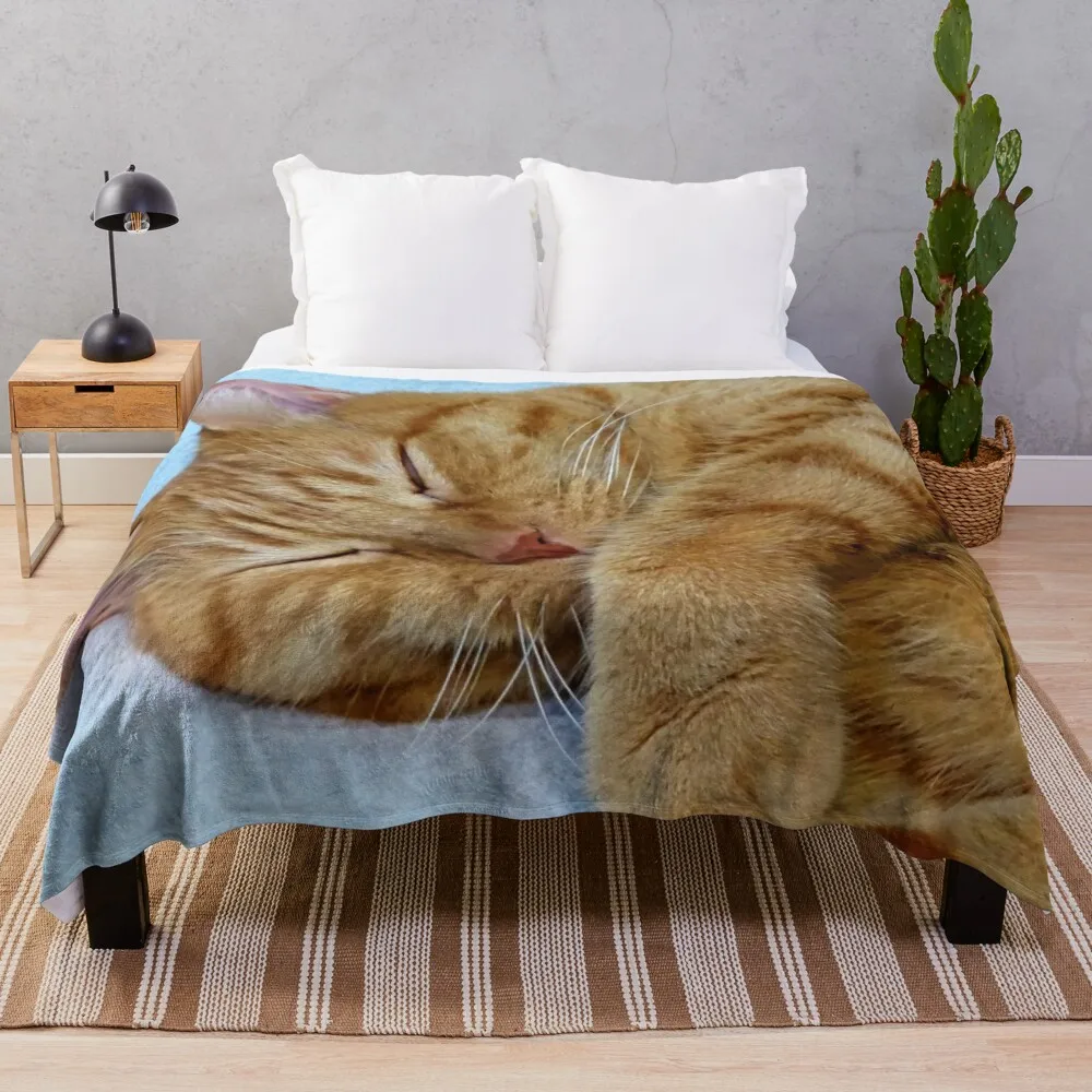 

Sleeping Cat Throw Blanket picnic blanket fluffy blanket