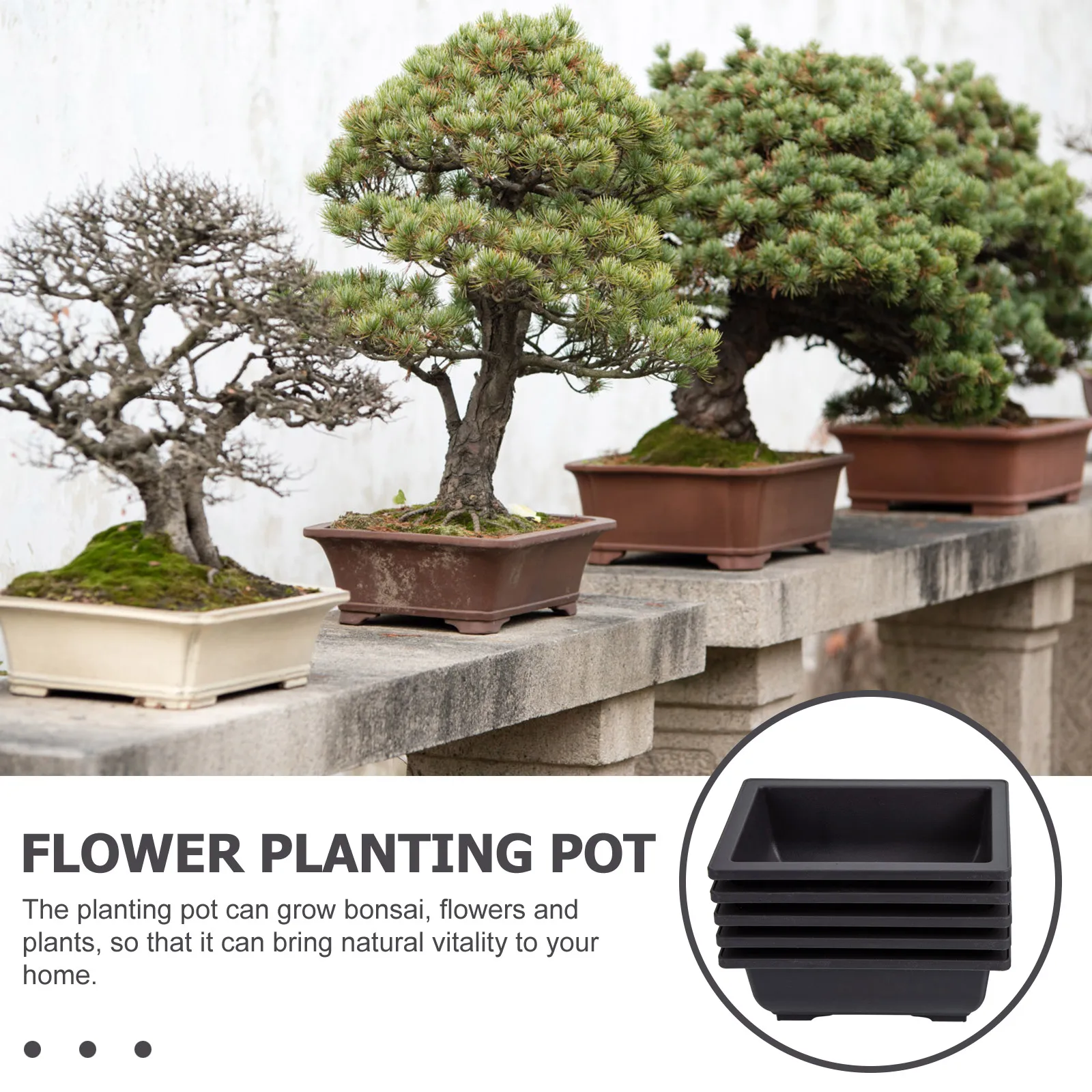 5 set piccolo vassoio in vaso bonsai fiore vasi per piante in ceramica per interni mini supporto per giardinaggio succulente forniture ciotole