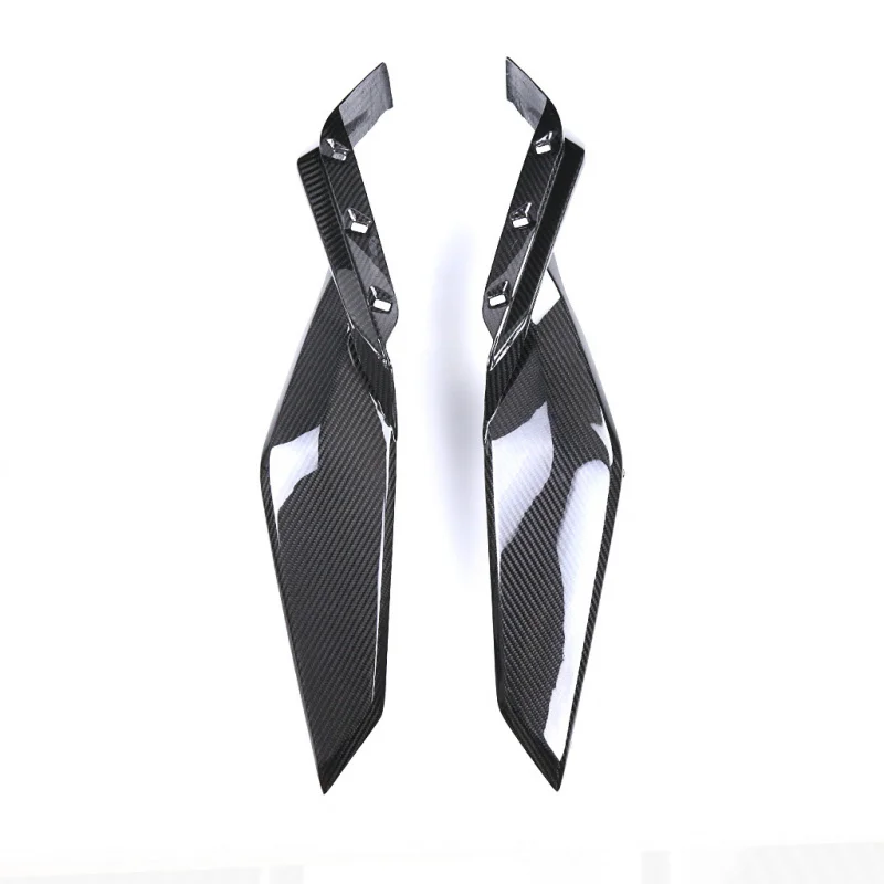 

Suitable BMWS1000XR M1000XR Modified Carbon Fiber Lower Side Panel Accessories-Border
