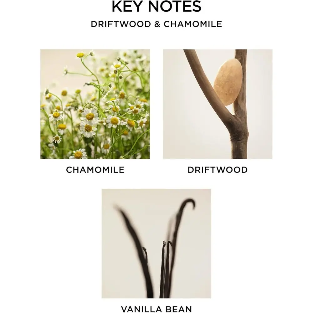 Long-lasting 3-Wick Aroma Candle, Driftwood & Chamomile Scent, 21.2 oz, 100-Hour Burn, Reusable Glass