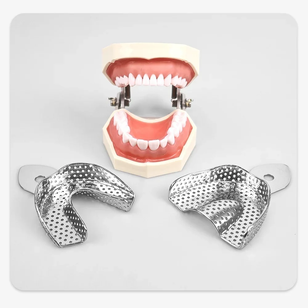 2pcs Dental Lab Equipment Upper Lower Stainless Steel Impression Trays Autoclavable Teeth Tray Teeth Holder Dentist Tools