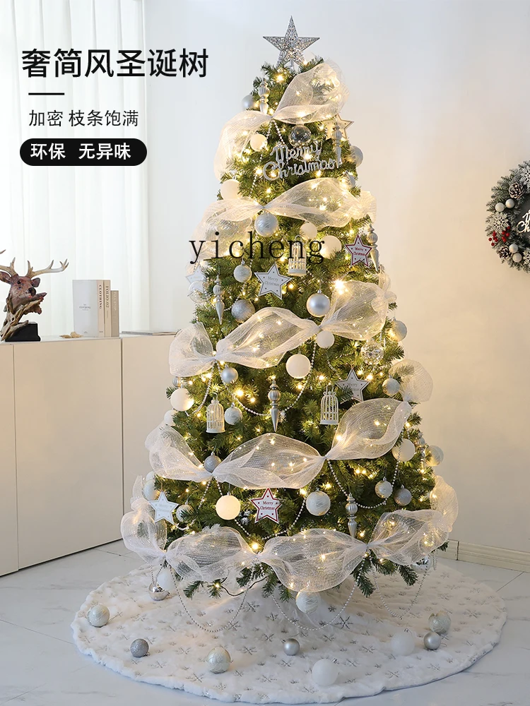 RWJ Household Small Encryption Package Internet Celebrity High-Grade Christmas Decoration Ins Style Ornaments