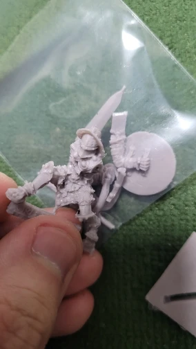 Buyer photo of this resin kit