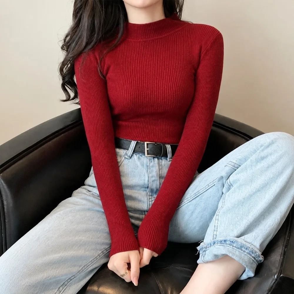 Long Sleeve Women Knitted Pull Over Sweater Soft Thicken Base Layer Knitwear Comfortable Turtleneck Sweaters Autumn Winter