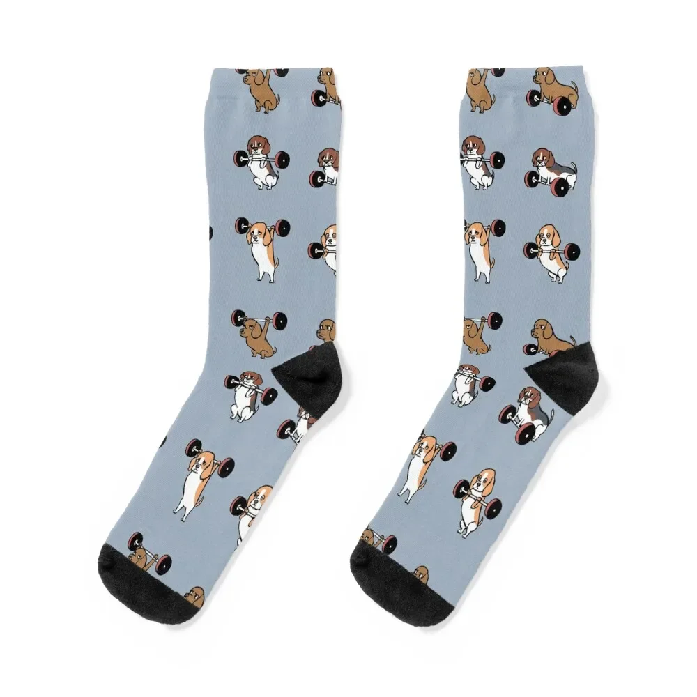 

Lifting Beagles Socks hip hop men cotton high quality Socks Girl Men's