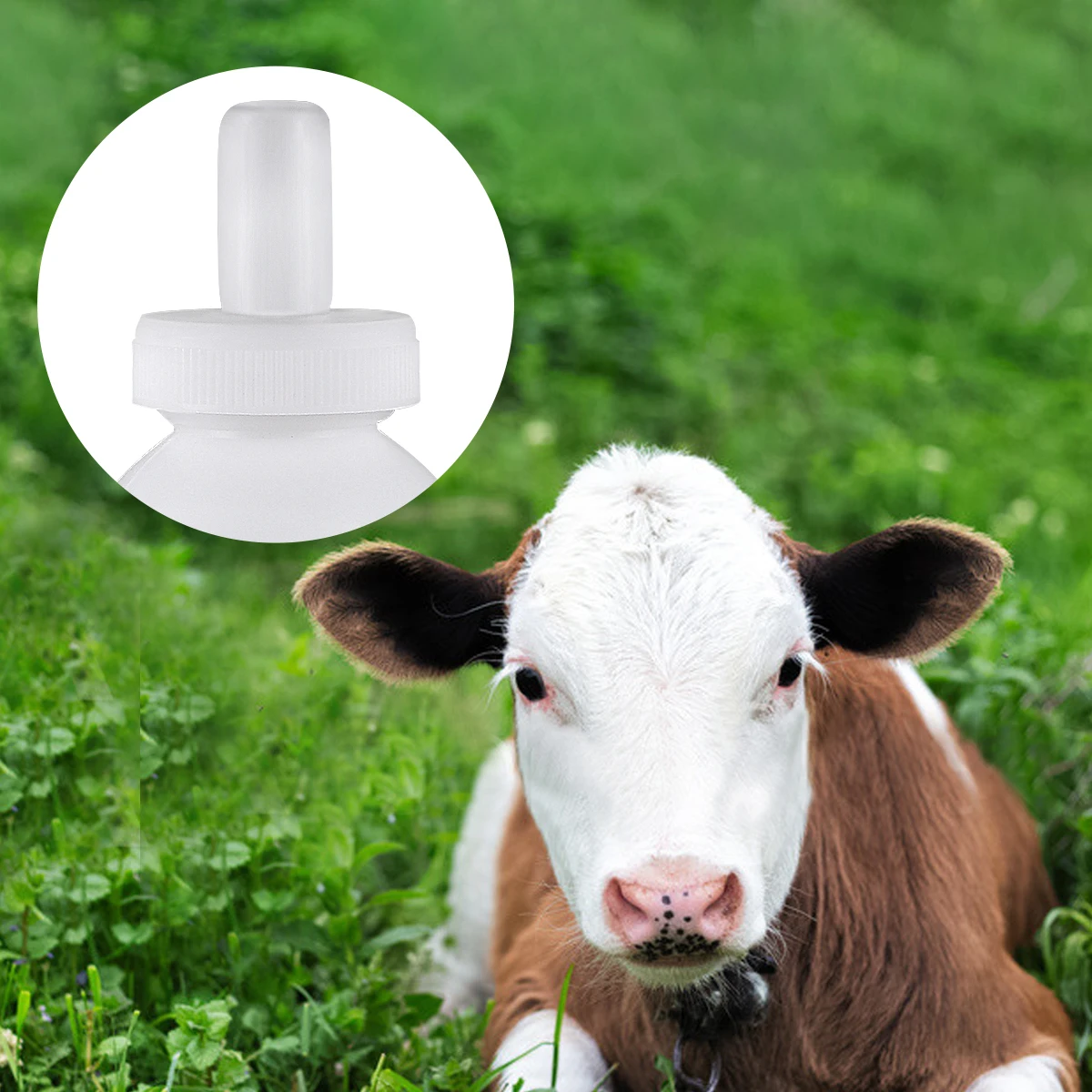 

1Set Durable Silicone Lamb Feeding Bottle Plastic Milk Pot Large Capacity Practical Lamb Feeding Supplies for Farm Use