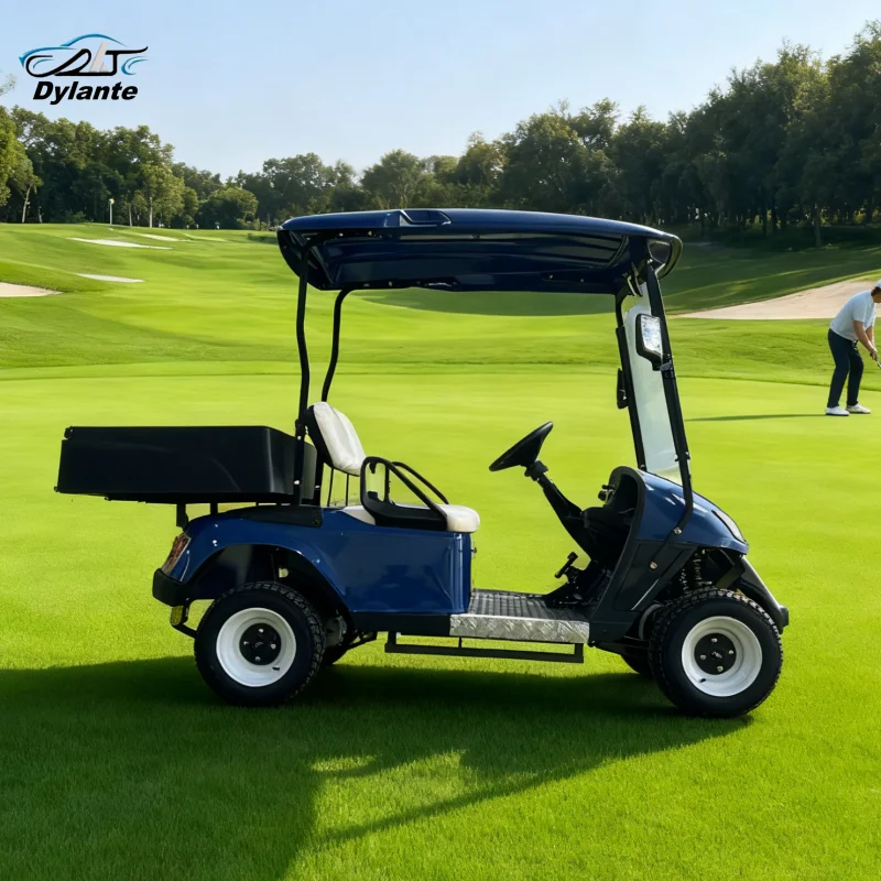 2025 نموذج جديد نمط 2 مقعد حافلة لمشاهدة معالم المدينة نادي عربة الغولف الكهربائية عربات التي تجرها الدواب عربة الصيد للبالغين مع صندوق البضائع #5