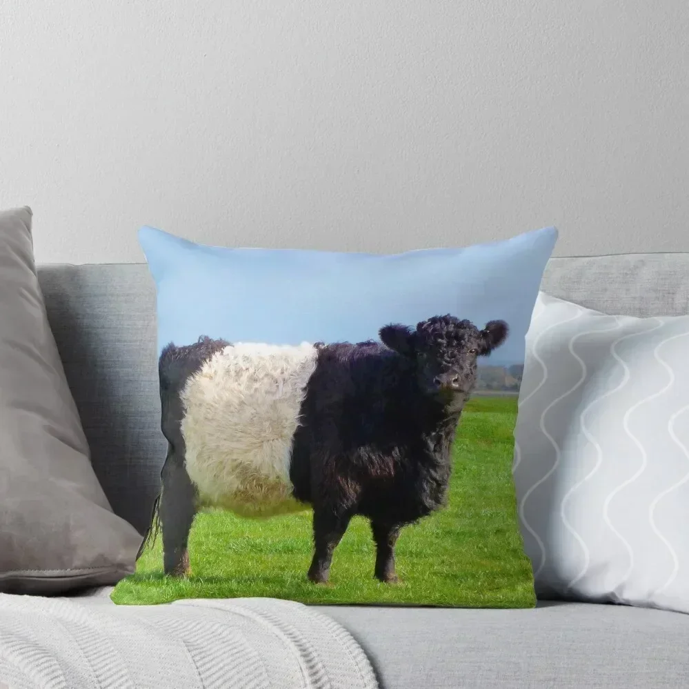 

Belted Galloway Bull Throw Pillow christmas supplies anime girl Embroidered Cushion Cover Pillowcases For Pillows pillow