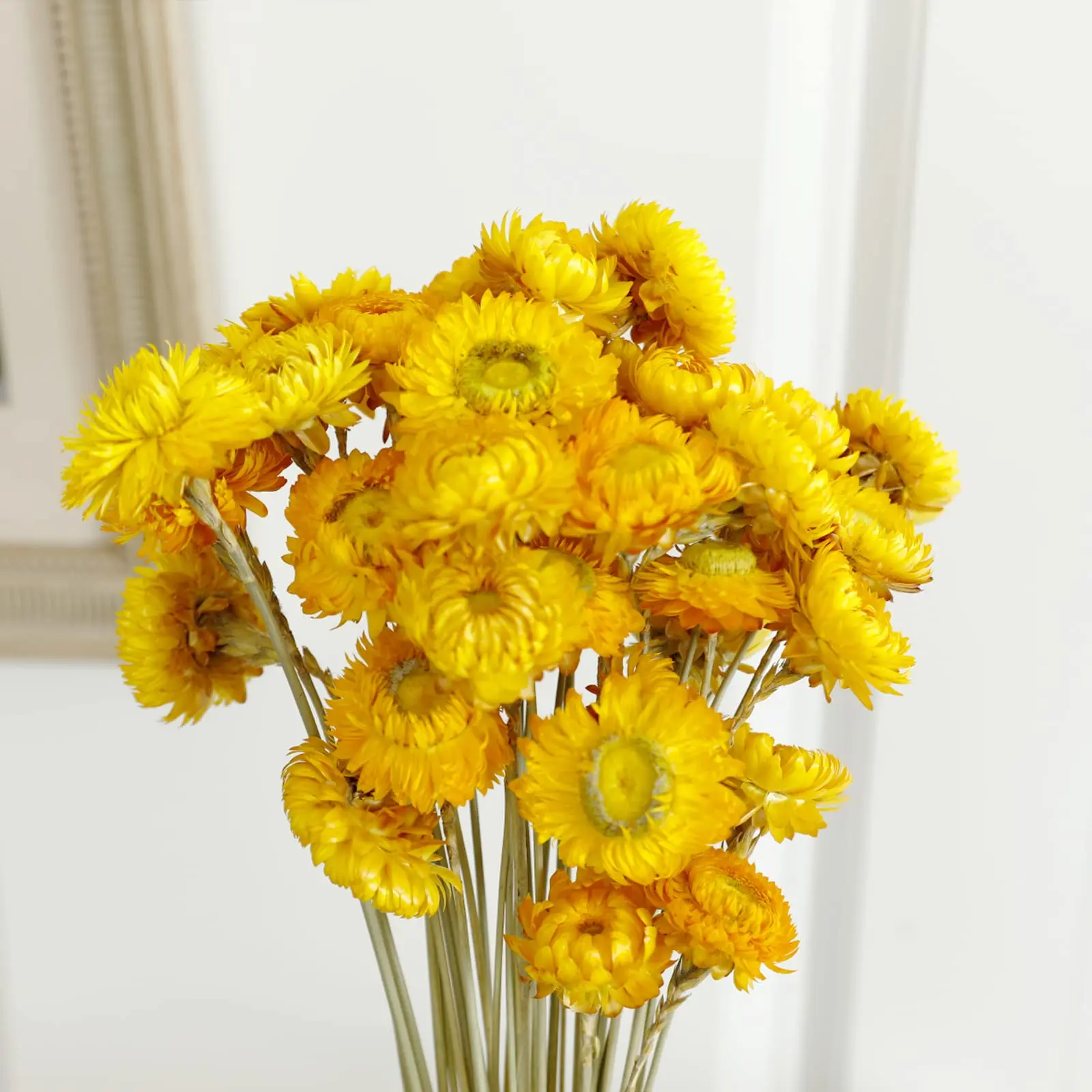 Daisy Dried Flower Bouquet 100%Natural Chrysanthemum Dry Flower for Wedding Centerpieces Home Decor DIY Bridal Bouquet Material