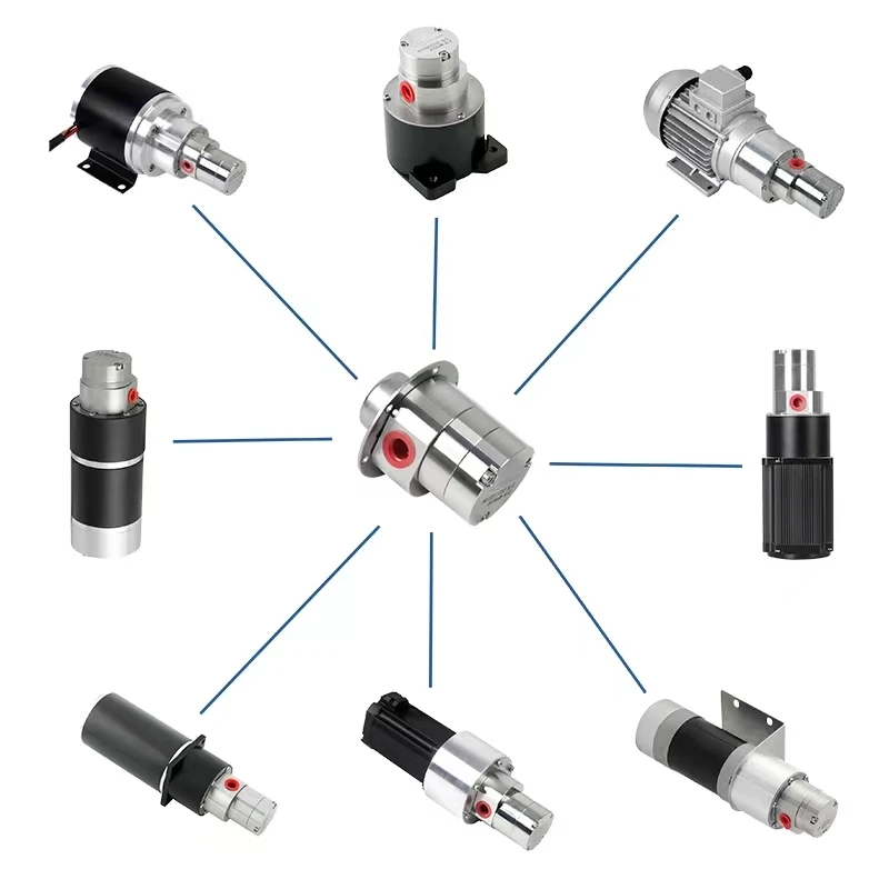 Non Leakage DC 12V 24V Chemical Small Magnetic Drive Pump Micro Annular Gear Pump Gear Metering Pump Use for Filling Machine