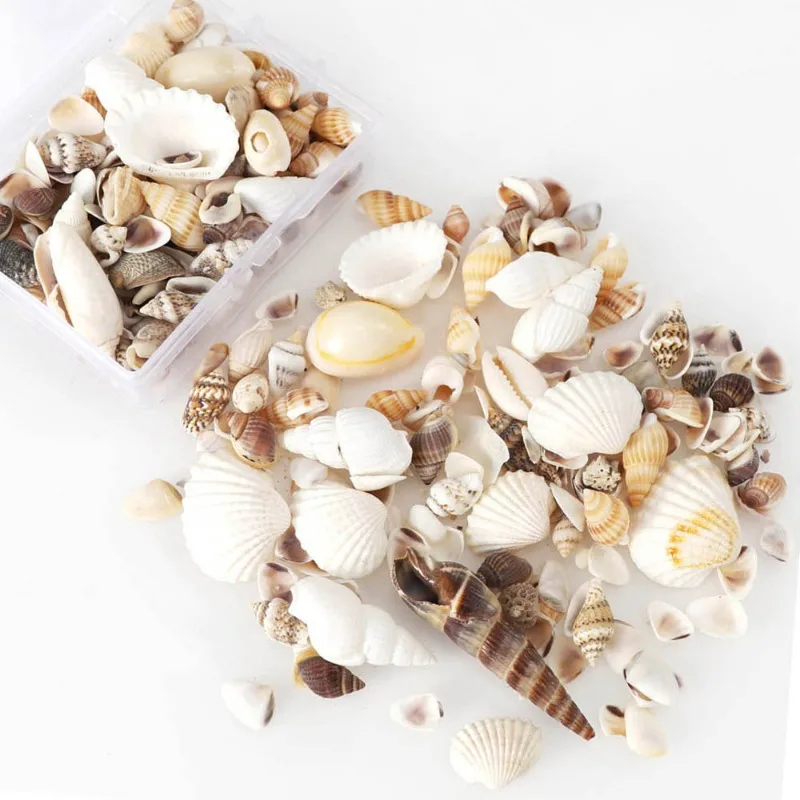 Mix Style Natural Shell Conch Aquarium Landscape Tiny Sea Shell Beach Decor Fish Tank Supplies Party DIY Crafts 1 BOX