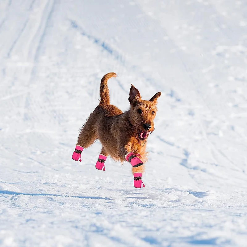 4pcs Dog Cat Cotton Shoes Waterproof Winter Dog Boots Anti-slip Puppy Rain Snow Booties Chihuahua Footwear for Small Pet Shoes