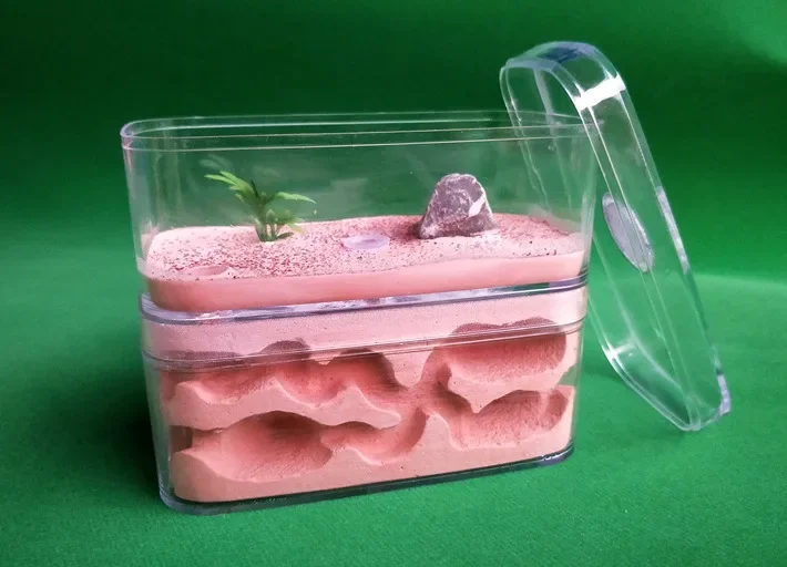 D-001 Ant Story Wor… - image