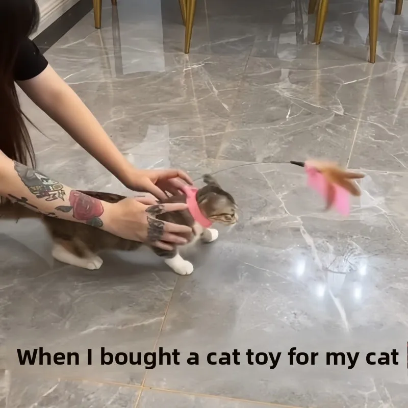 Auatic Toy Feather …