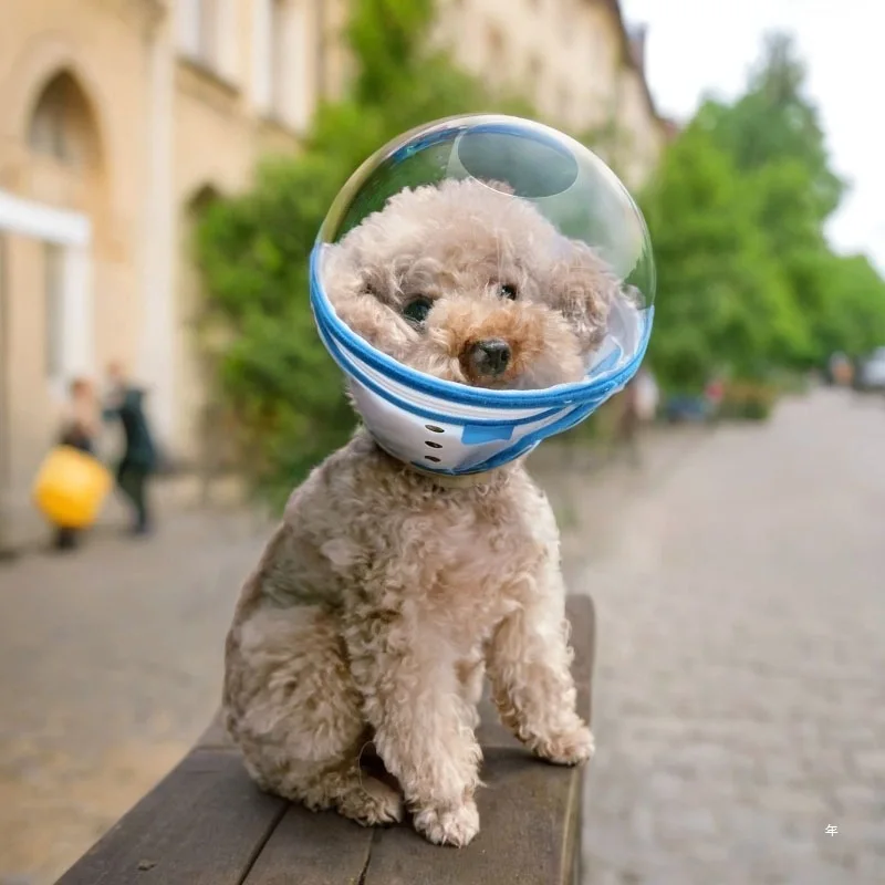 Space Dog Elizabethan Collar Prevents Liing Biting and Foot Chewing Anti-Colion Ne Ring for Blind Dogs Adjustable Dog Head Cover