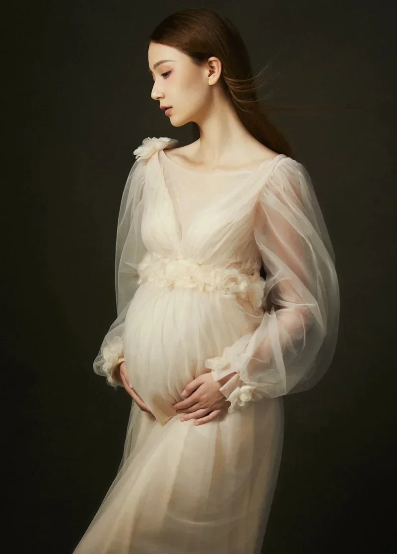 Women\'s Champagne Maternity Photo Shoot Long Sleeves Tulle Floral Pregnant Photography Props Long Mesh Maxi Dress