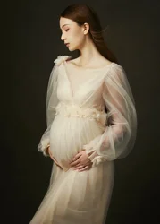 Women's Champagne Maternity Photo Shoot Long Sleeves Tulle Floral Pregnant Photography Props Long Mesh Maxi Dress