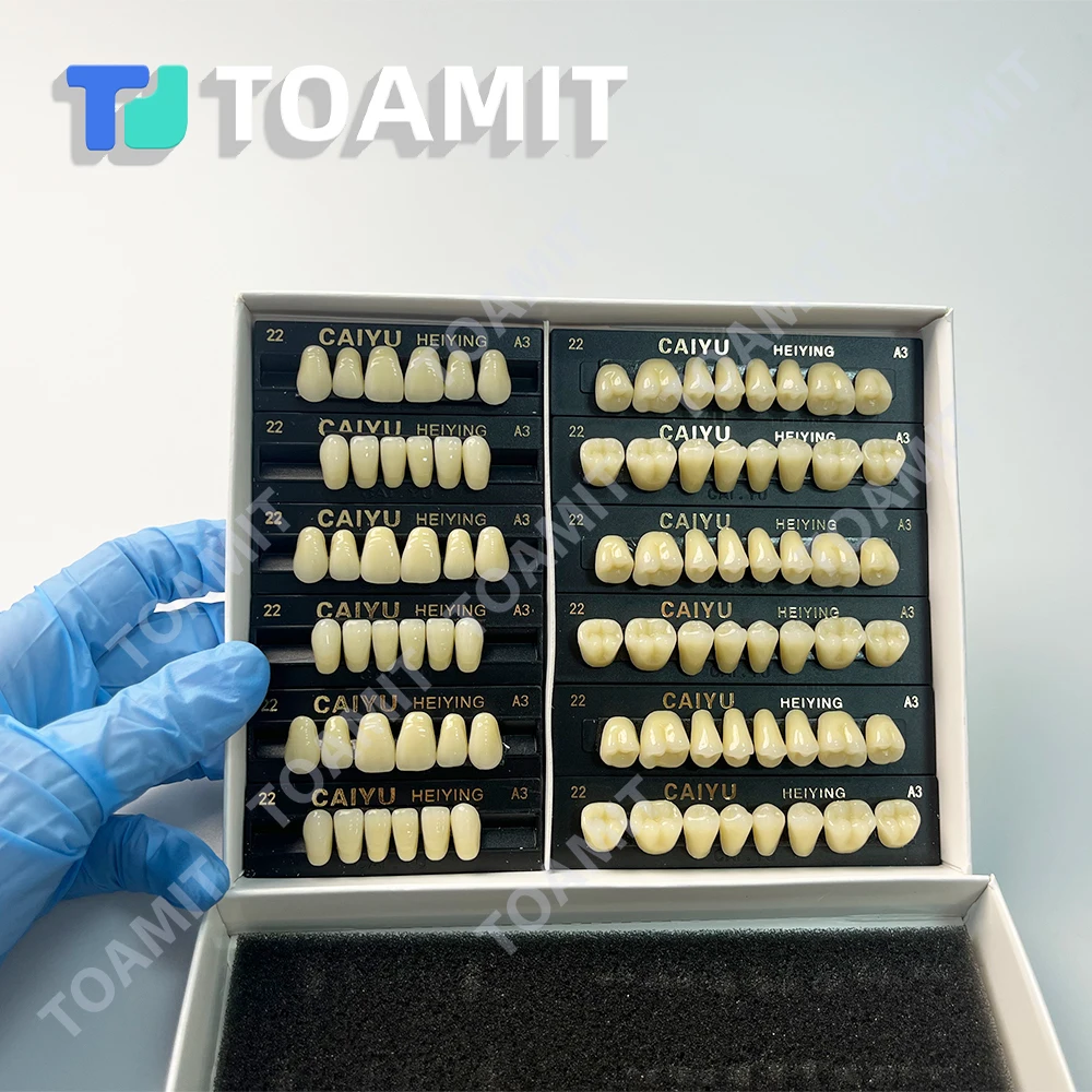 Зубные протезы, смоляные зубы, задние передние, с полным ртом, акриловые, предварительно сформированные, вставные зубы, обучающая модель, синтетические, поддельные, красочные