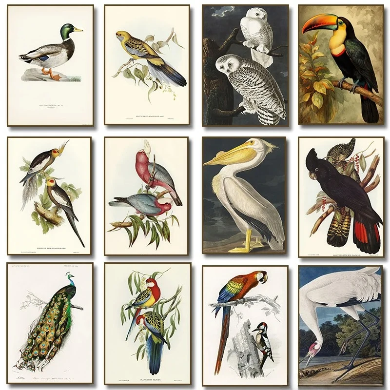 1pc frameless Canvas Painting Vintage Toucan White Pelican Cockatoo Parrot Peacock Owl Bird Poster Print Canvas Painting Wall Ar