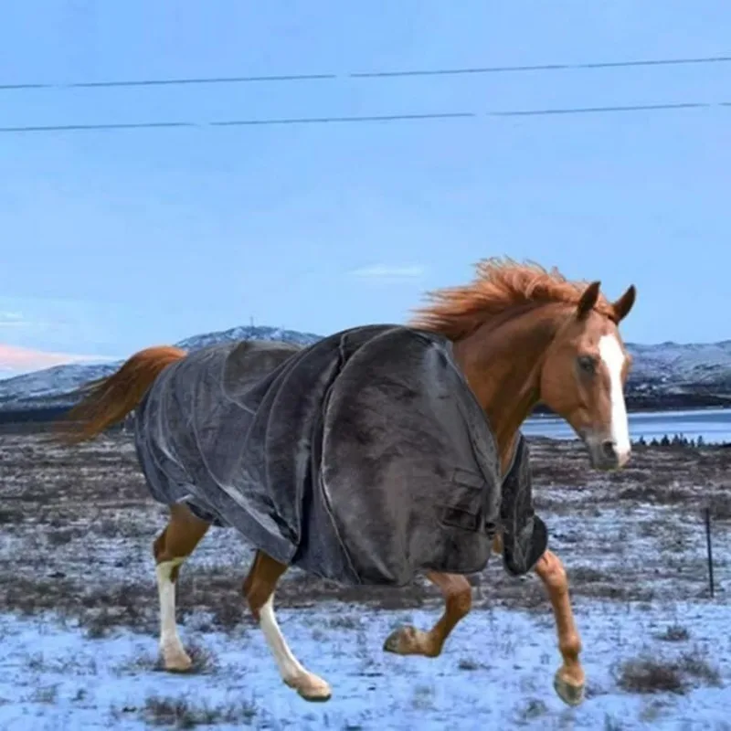Manta de caballo al aire libre, ropa protectora de franela antimosquitos cálida para invierno, suministros de entrenamiento de equitación
