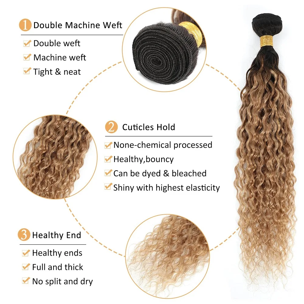 Water Wave Bundles with Closure, Honey Blonde Brazilian Human Hair, 1B/27 Curly