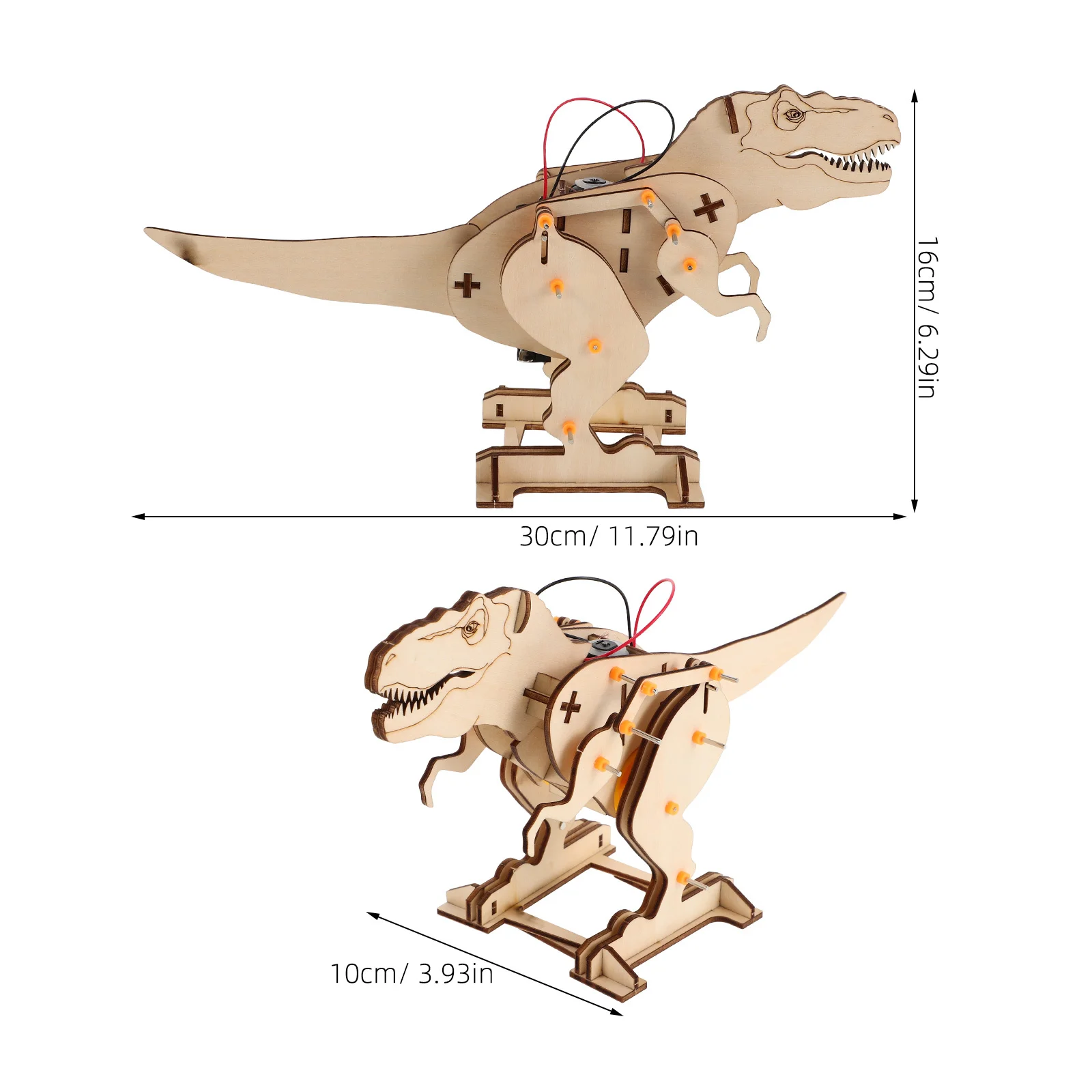 مشروع بناء جذع الديناصور الخشبي DIY مجموعة أدوات العلوم التعليمية ثلاثية الأبعاد لمشاريع جذع العلوم للأطفال #2